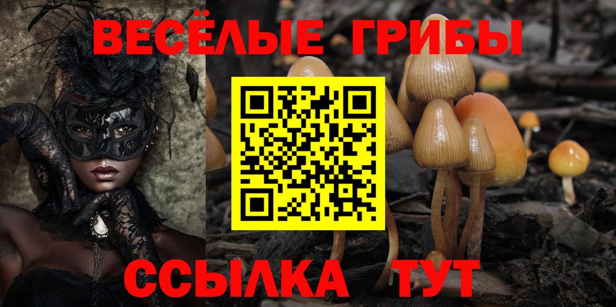 Галлюциногенные грибы GOLDEN TEACHER  наркота  Нижний Новгород  Галлюциногенные грибы Cubensis  Вход с VPN 